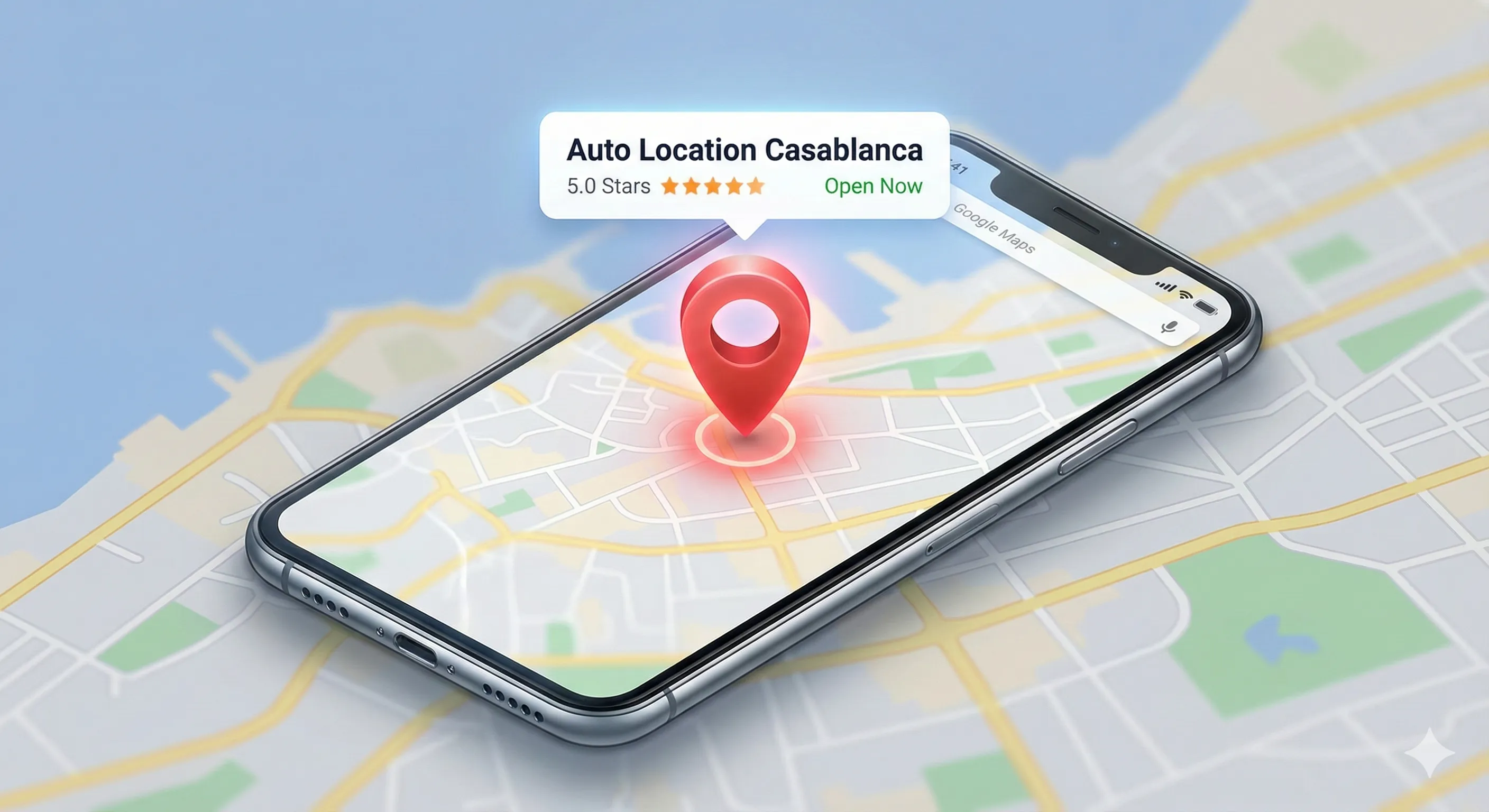 Fiche Google Maps Pro